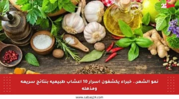 نمو الشعر.. خبراء يكشفون أسرار 10 أعشاب طبيعية بنتائج سريعة ومذهلة